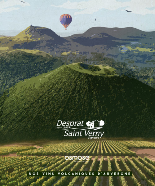 Book Desprat Saint-Verny Vignobles